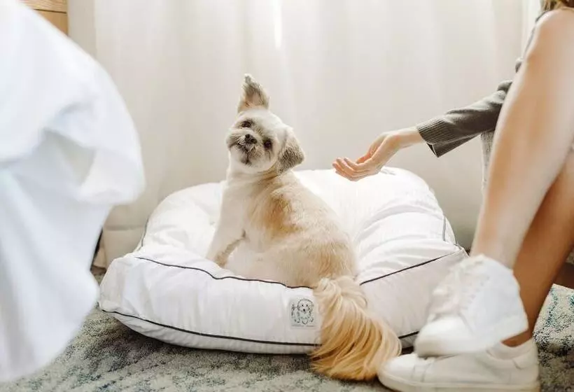 酒店 The Westin New York at Times Square