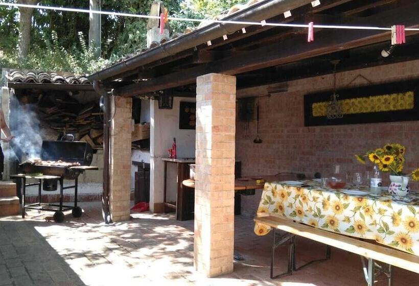 住宿加早餐 Casale Civetta