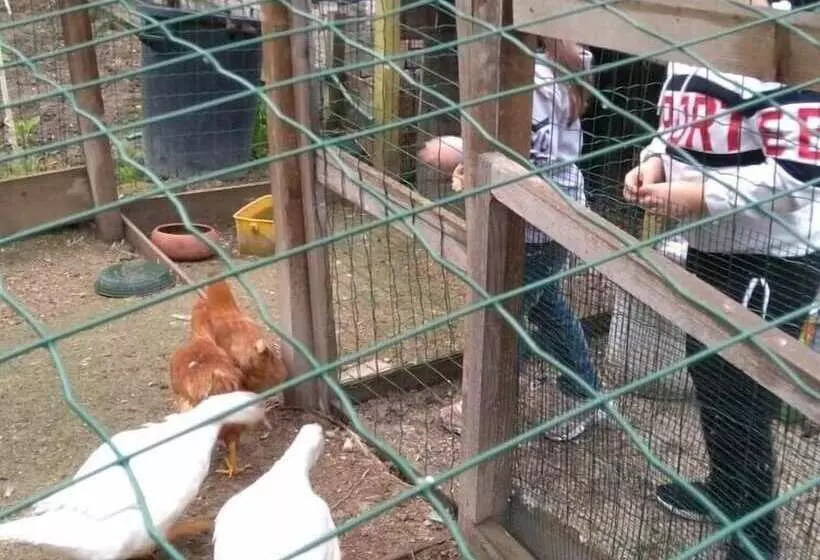 Aamiaismajoitus (B&B) Casale Civetta