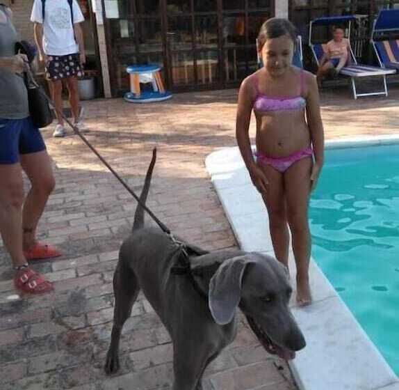 住宿加早餐 Casale Civetta