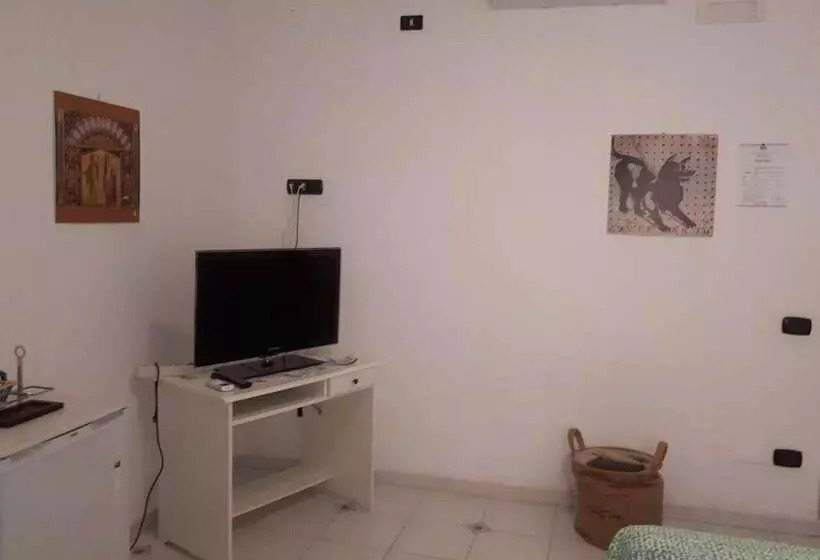 Miss Emily Vesuvio B&b