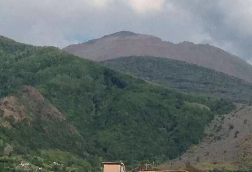 Miss Emily Vesuvio B&b