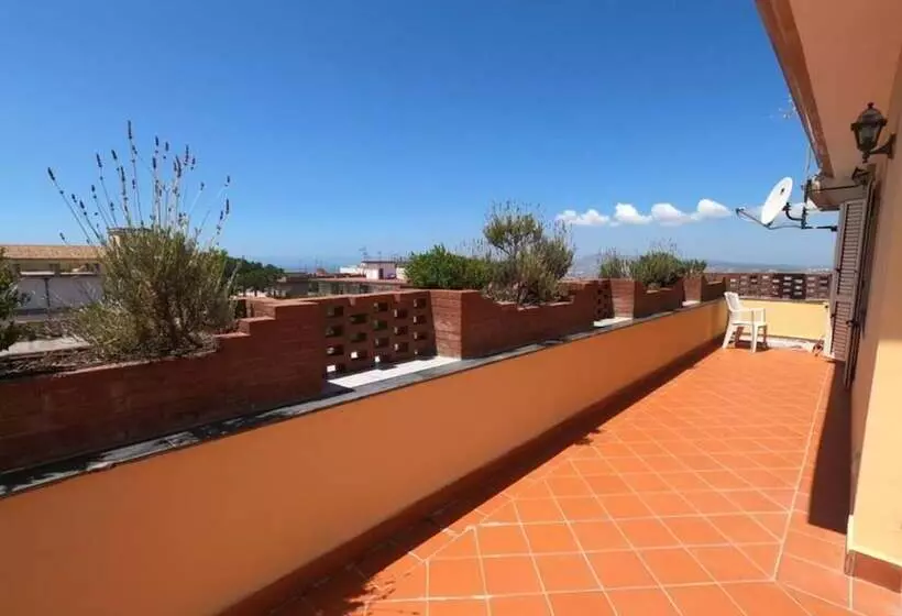 Miss Emily Vesuvio B&b