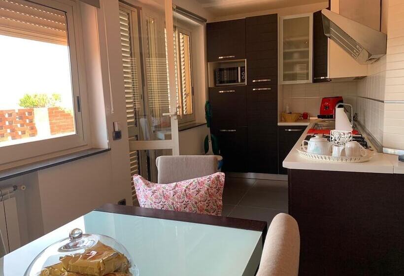 Miss Emily Vesuvio B&b