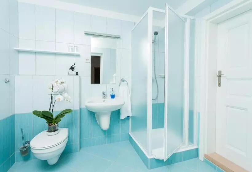 酒店 Fábián Panzió