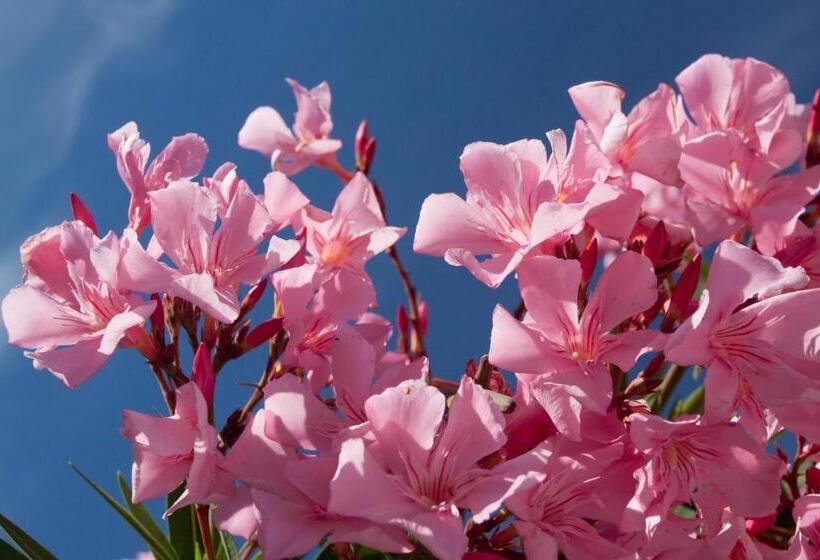 Hotel Fábián Panzió