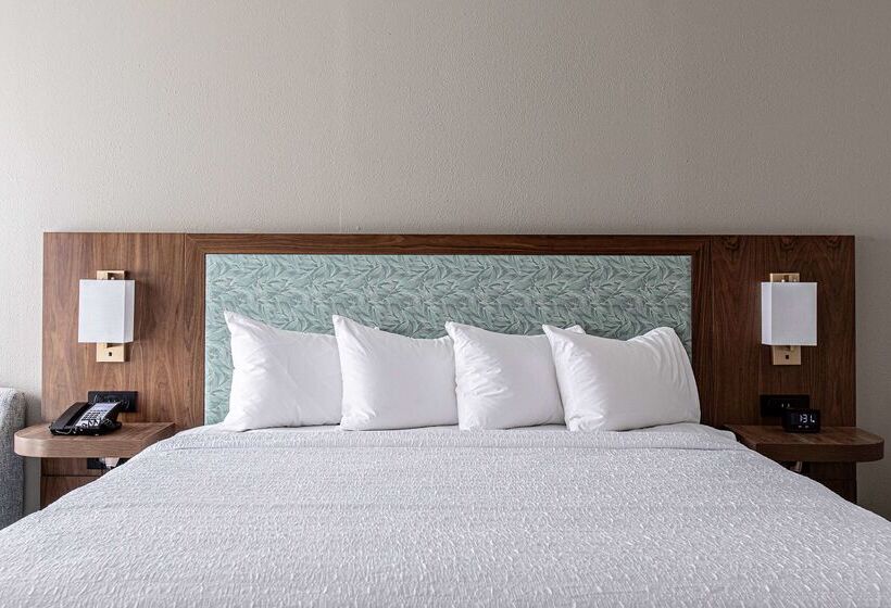 Hotel Hampton Inn & Suites Charleston/west Ashley