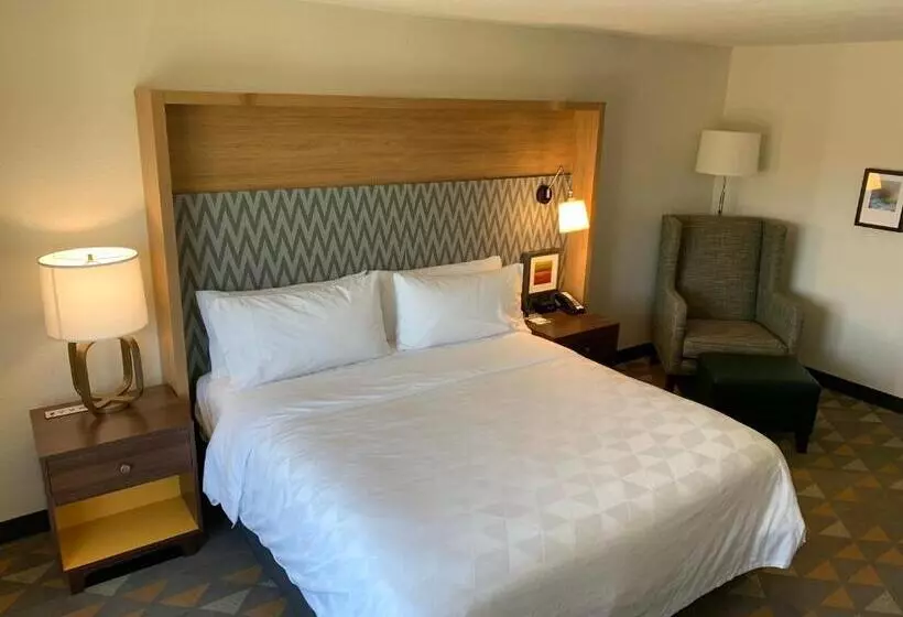هتل Holiday Inn Baton Rouge South, An Ihg