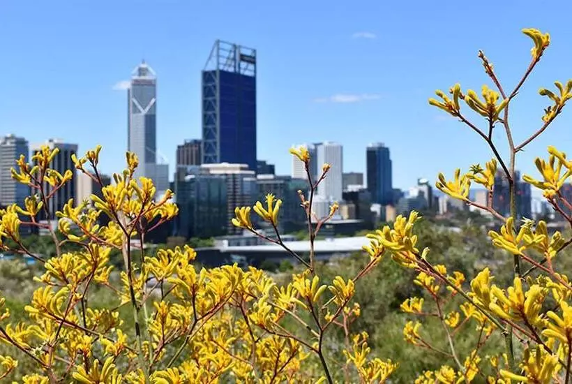 Отель Holiday Inn Perth City Centre, An Ihg