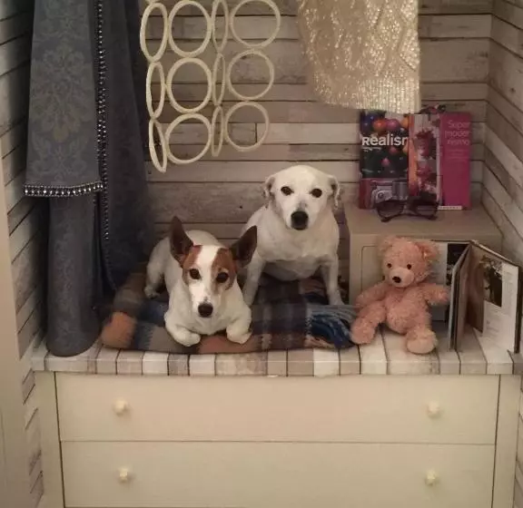 Отель Relais Villa d'Assio