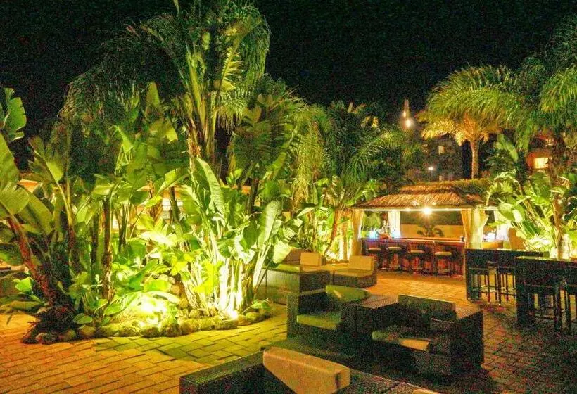 Отель Senator Águilas