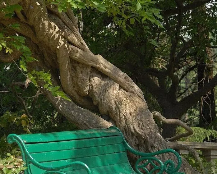 בית מלון כפרי Woodville Palace By Signum