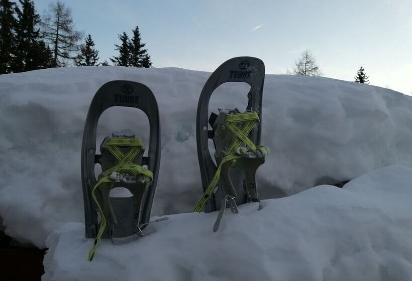 膳宿费 Oberhauser Hütte Passion For Nature