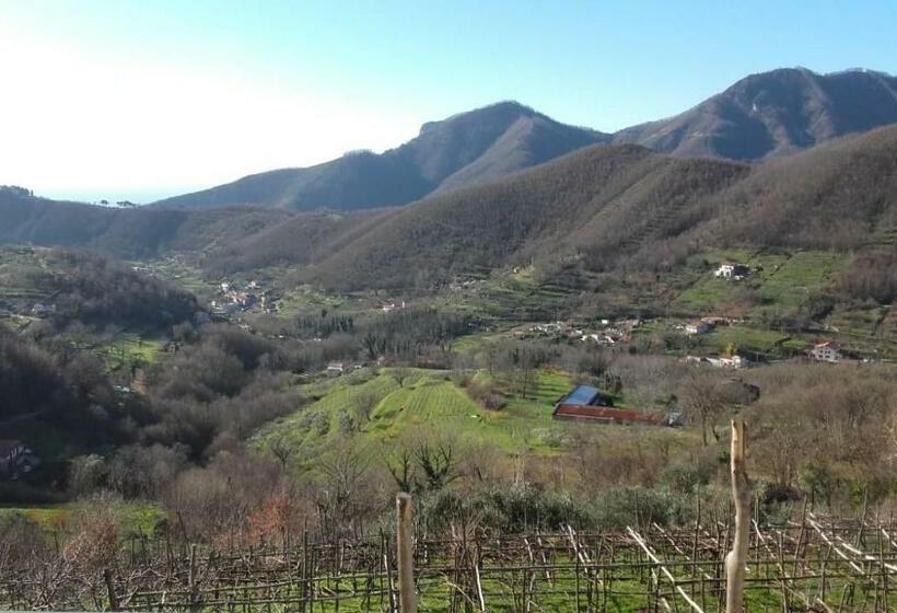 Отель La Casa In Vigna