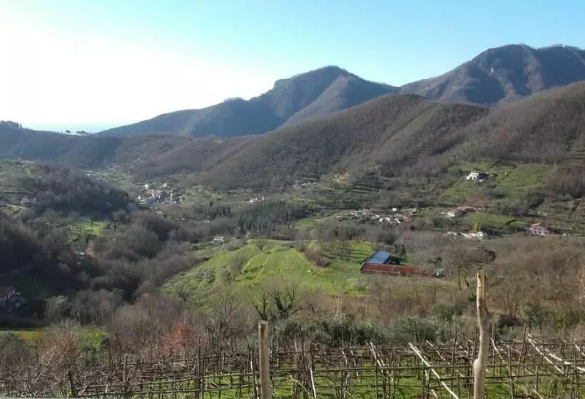 ホテル La Casa In Vigna