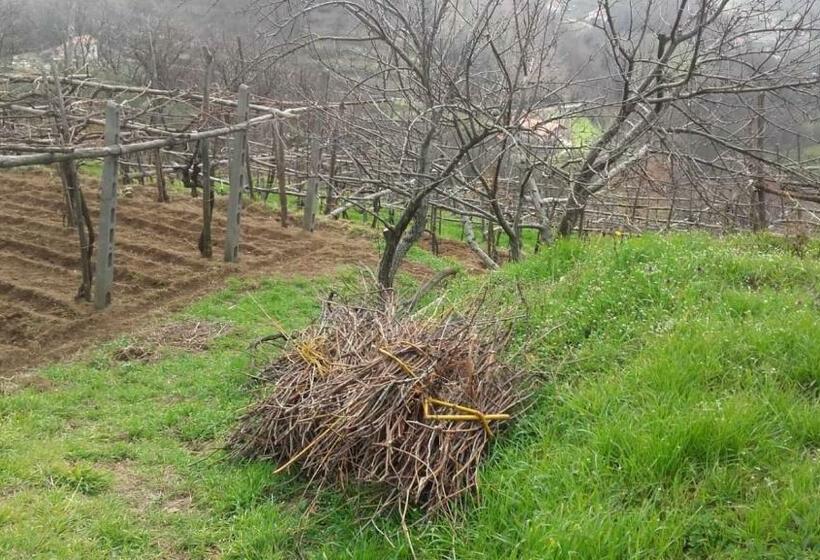 Отель La Casa In Vigna