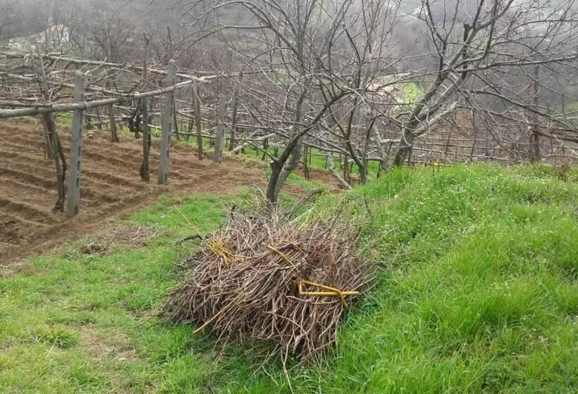 ホテル La Casa In Vigna