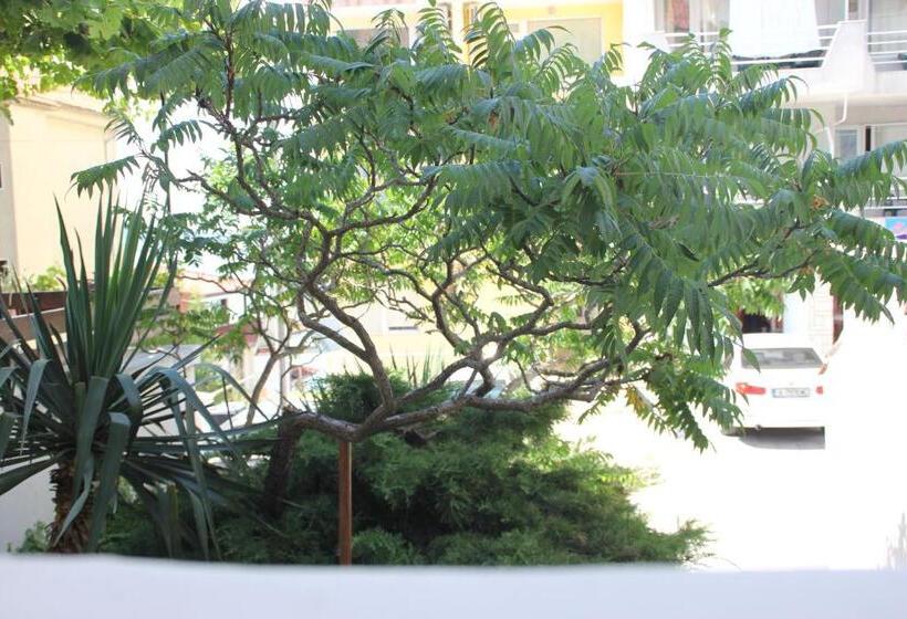 Majatalo Yankov's House