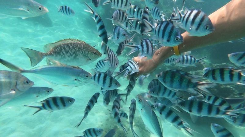 فندق Baan Chan Lay Koh Chang