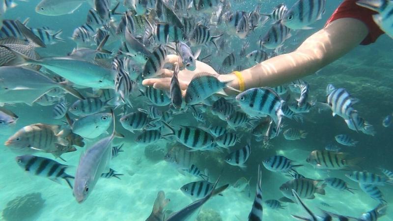 فندق Baan Chan Lay Koh Chang