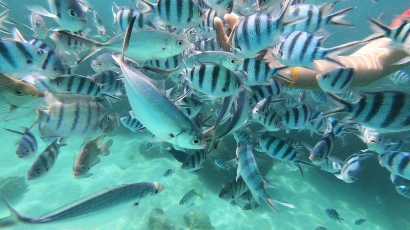 فندق Baan Chan Lay Koh Chang