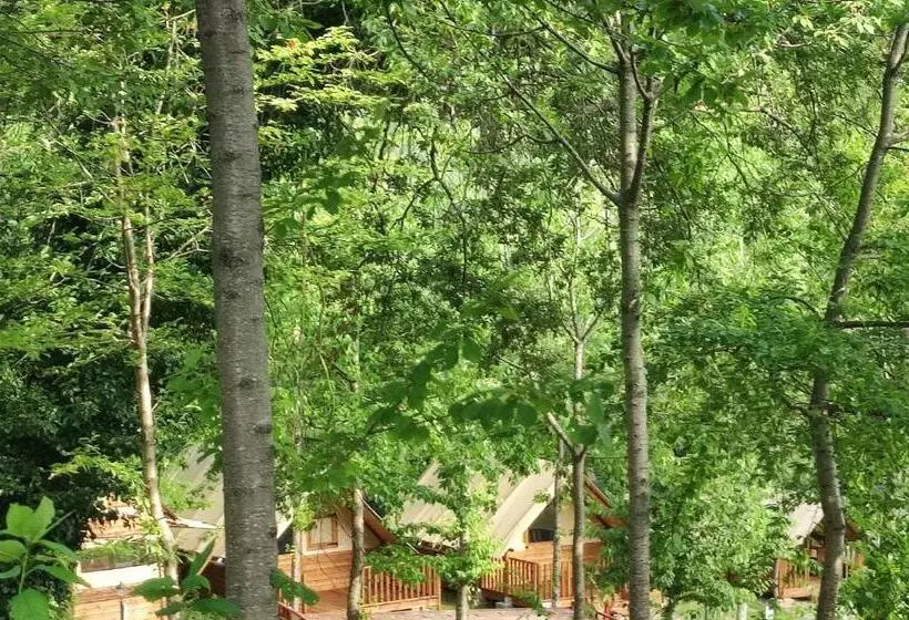 هتل Saecula Natural Village Experience