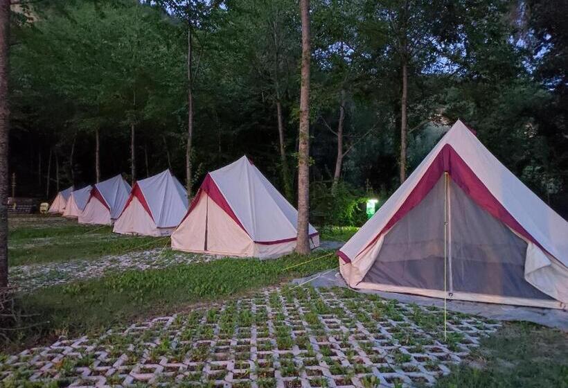 فندق Saecula Natural Village Experience