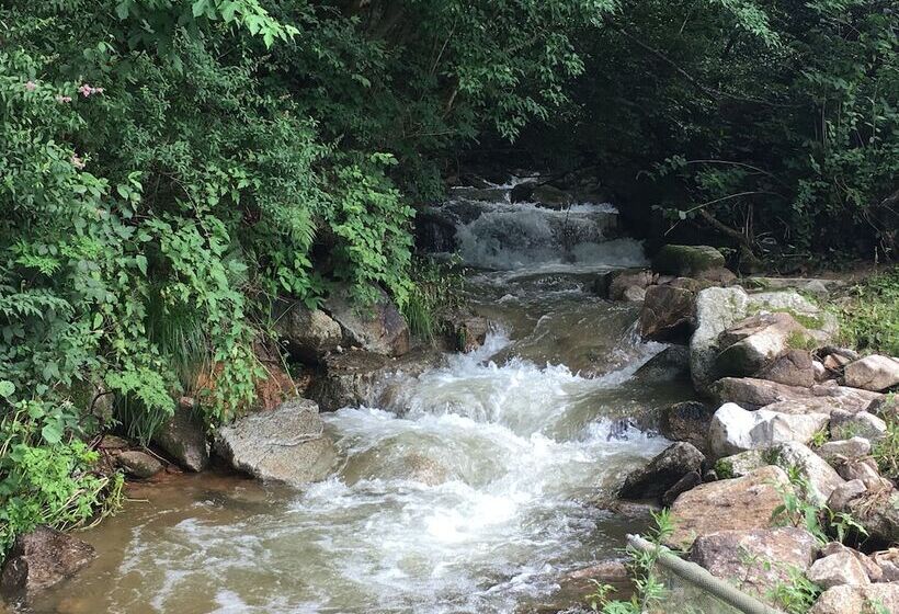 בית מלון כפרי Tirol Pension