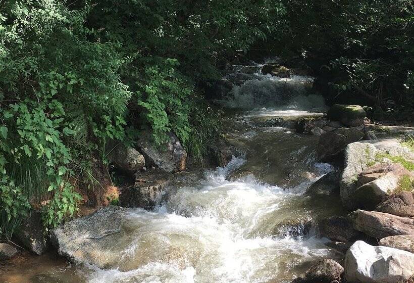 בית מלון כפרי Tirol Pension