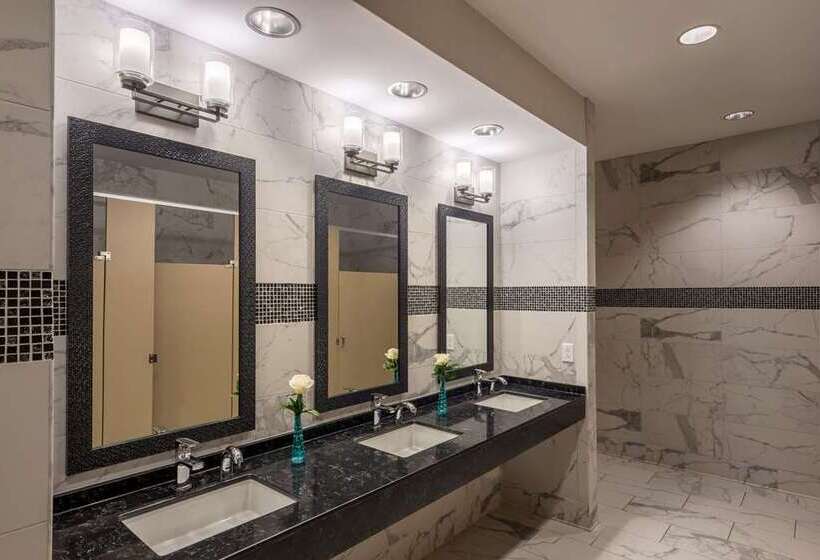 酒店 Hilton Garden Inn Memphis East Germantown, Tn