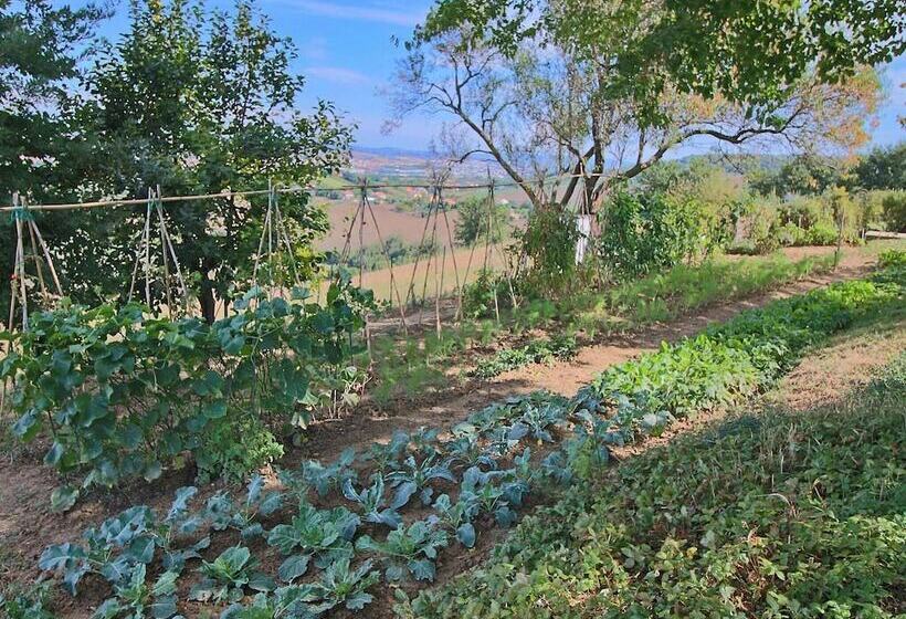 Luxurious Cottage With Swimming Pool In Montelabbate