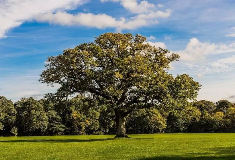 Majatalo Shirley House Self Catering Guest House, 5 Min Drive To Cruise Ship Terminals And City Centre