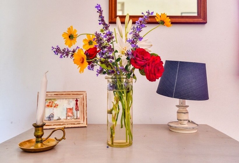 Provincial Cottage In Provence With Swimming Pool