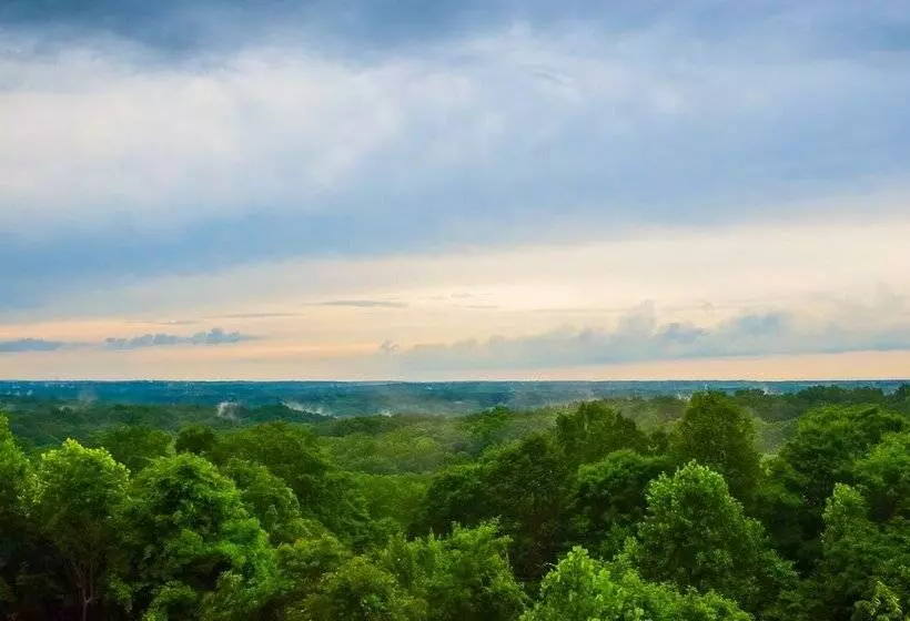 Treetop Retreat