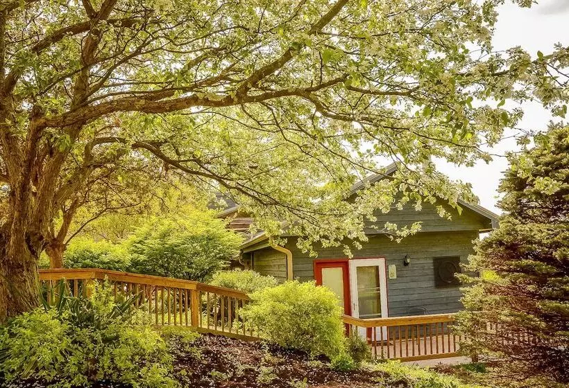 Treetop Retreat
