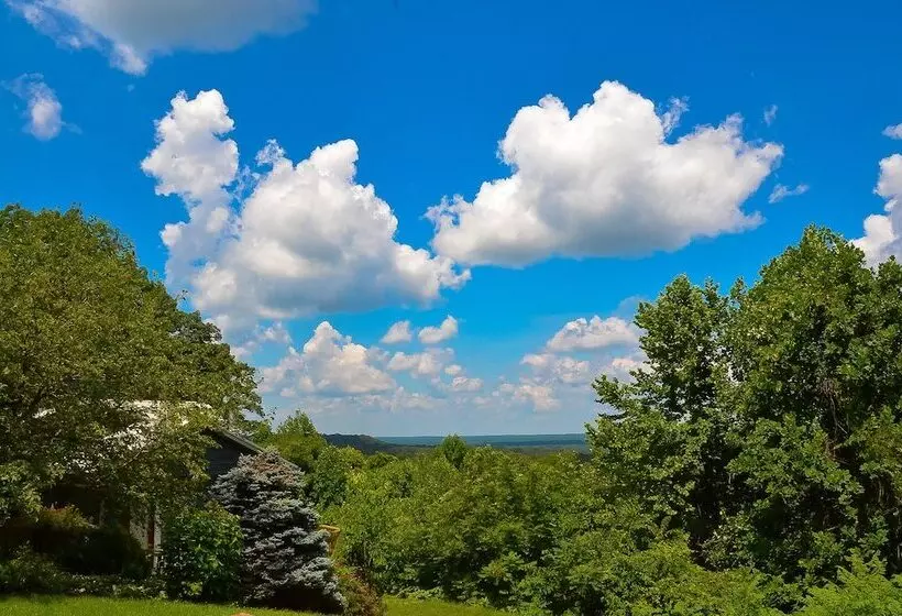 Treetop Retreat