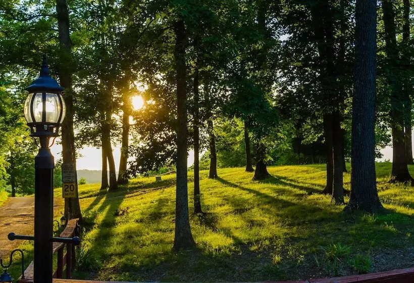Treetop Retreat