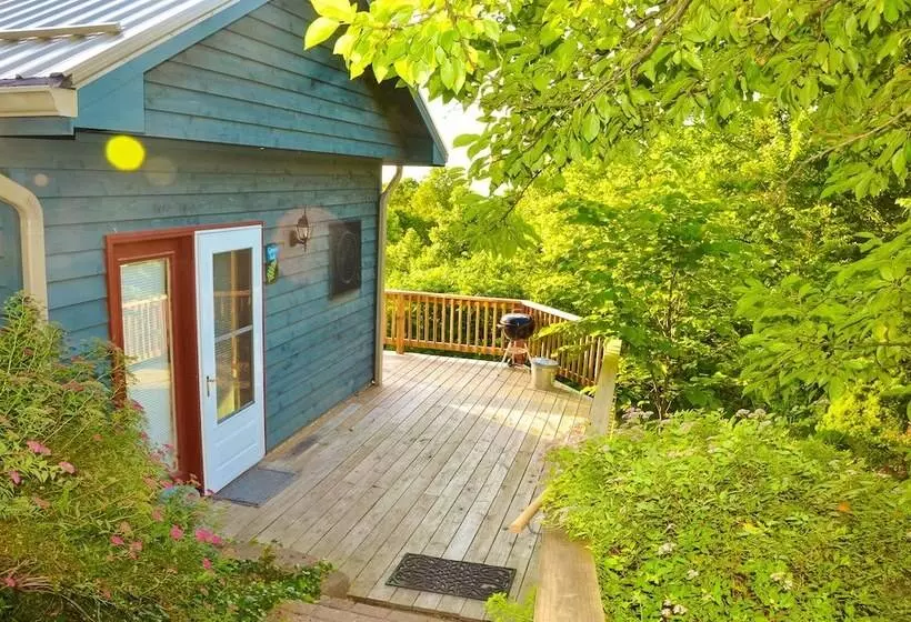 Treetop Retreat