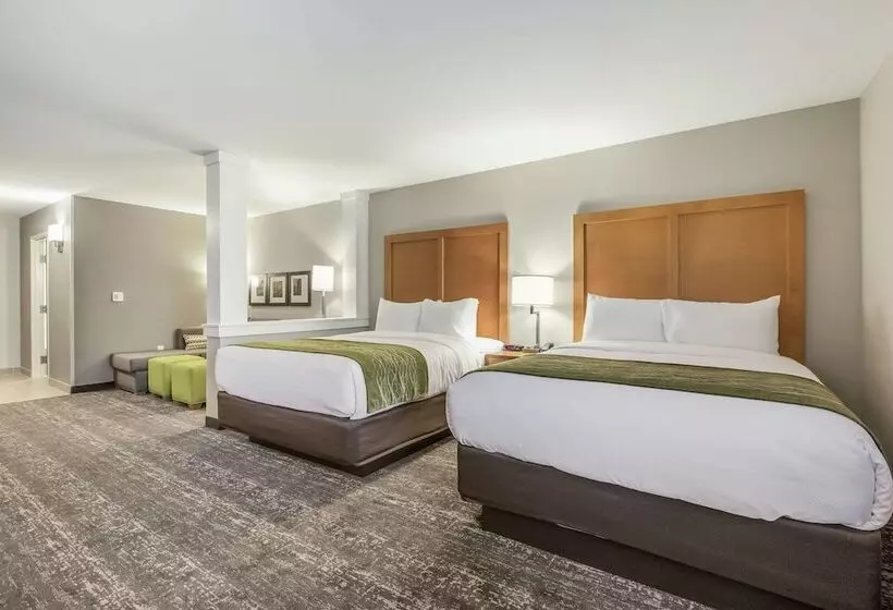 ホテル Comfort Inn