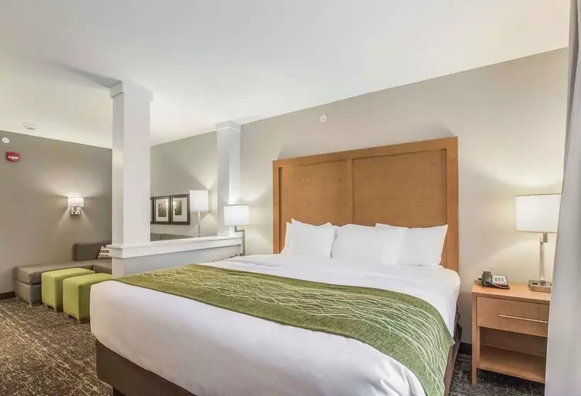 ホテル Comfort Inn