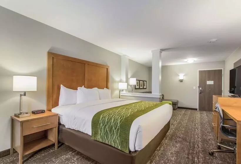 ホテル Comfort Inn