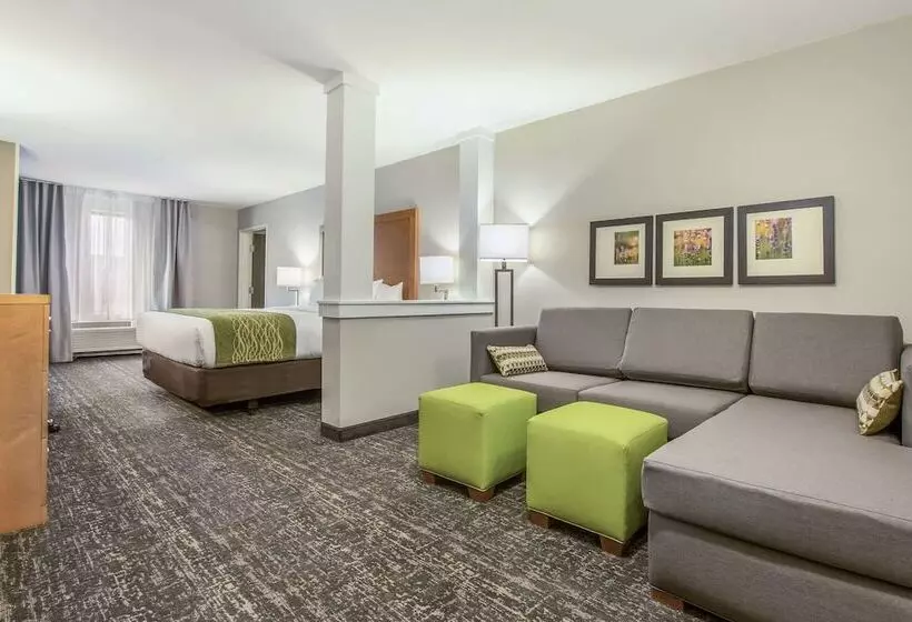 ホテル Comfort Inn