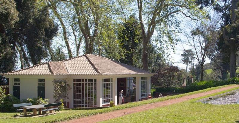 Balancal Apartments And Villas Palheiro Village