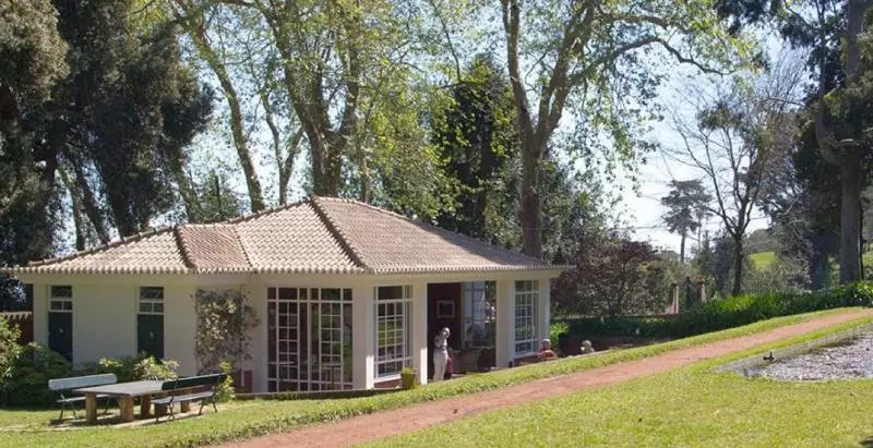 Balancal Apartments And Villas Palheiro Village