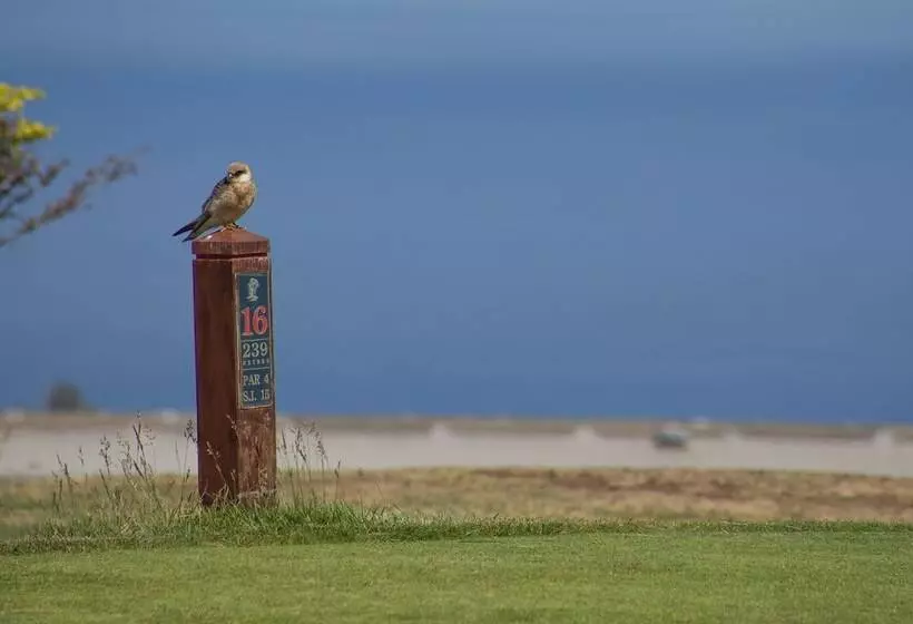 Balancal Apartments And Villas Palheiro Village