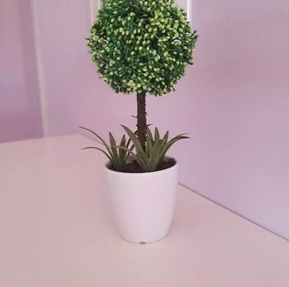 Majatalo Tk1 George Apartments By The Airport