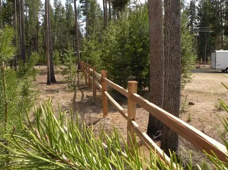 The Cozy Cabin Lapine