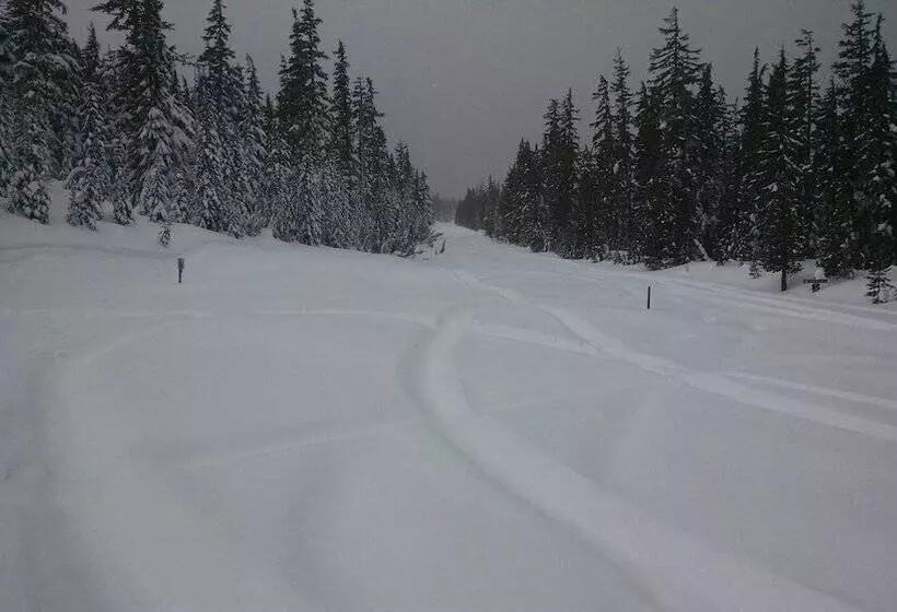 The Cozy Cabin Lapine