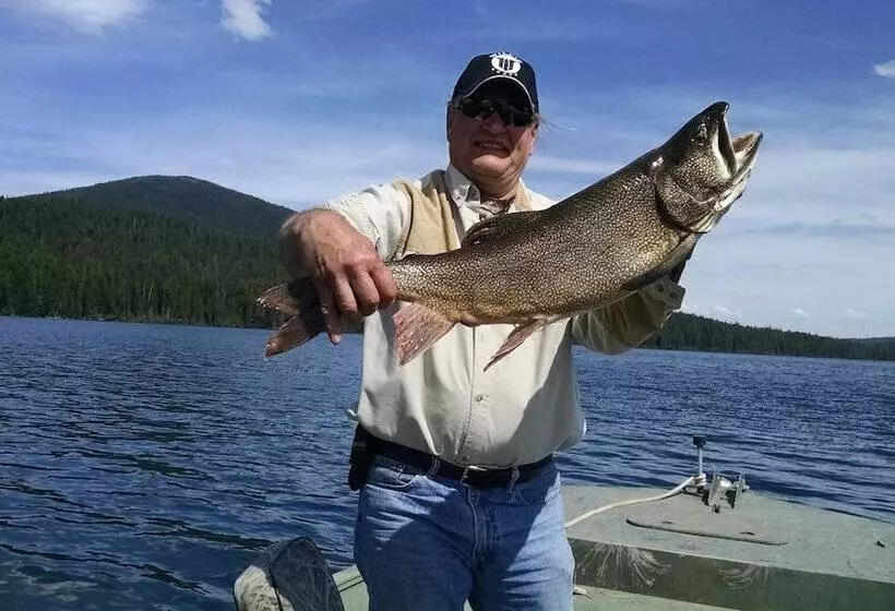 The Cozy Cabin Lapine