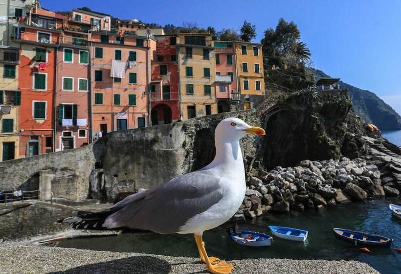 Хостел Terra Prime Suite